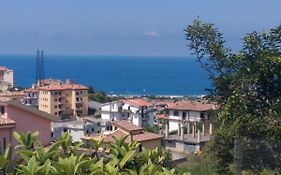 B&B Collemare